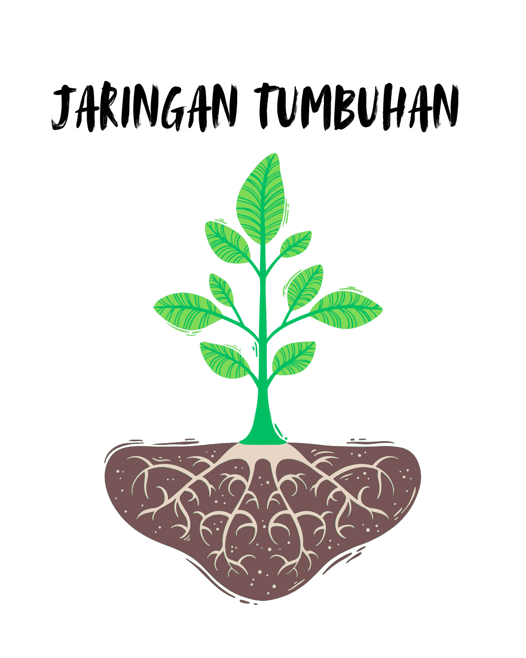 JARINGAN TUMBUHAN 